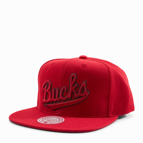 Bucks Two Tonal Snapback HWC