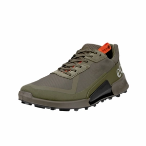 Men's BIOM 2.1 X Country Low GTX - Tarmac