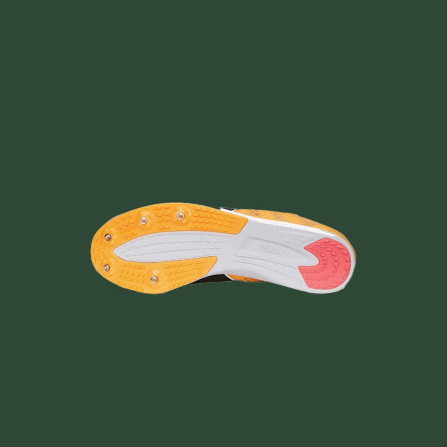 Puma Evospeed Distance 11
