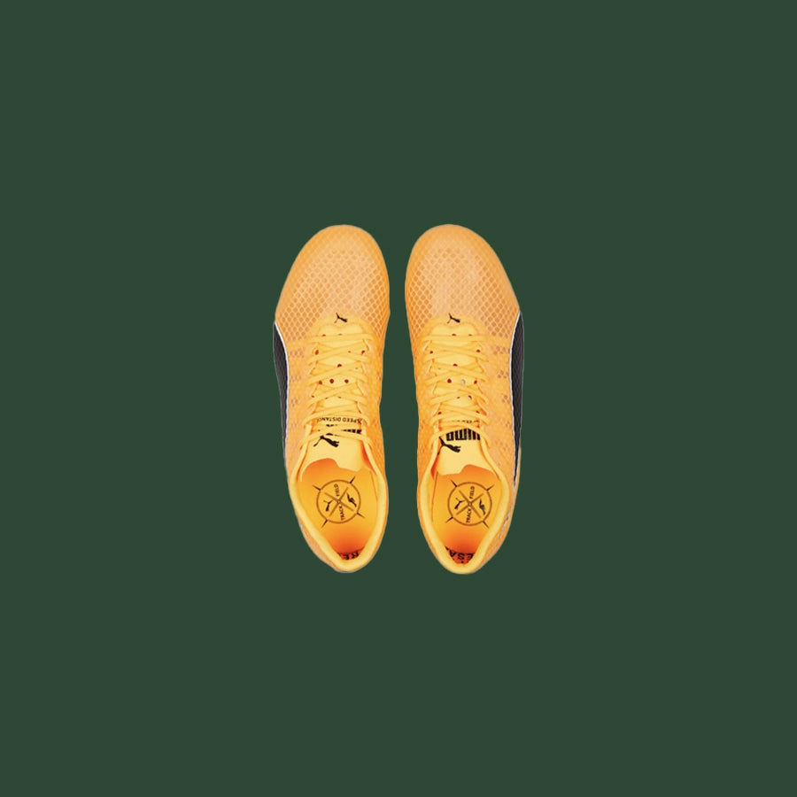 Puma Evospeed Distance 11