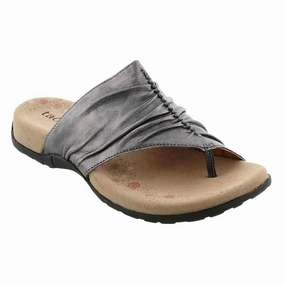 Taos Gift 2 Pewter